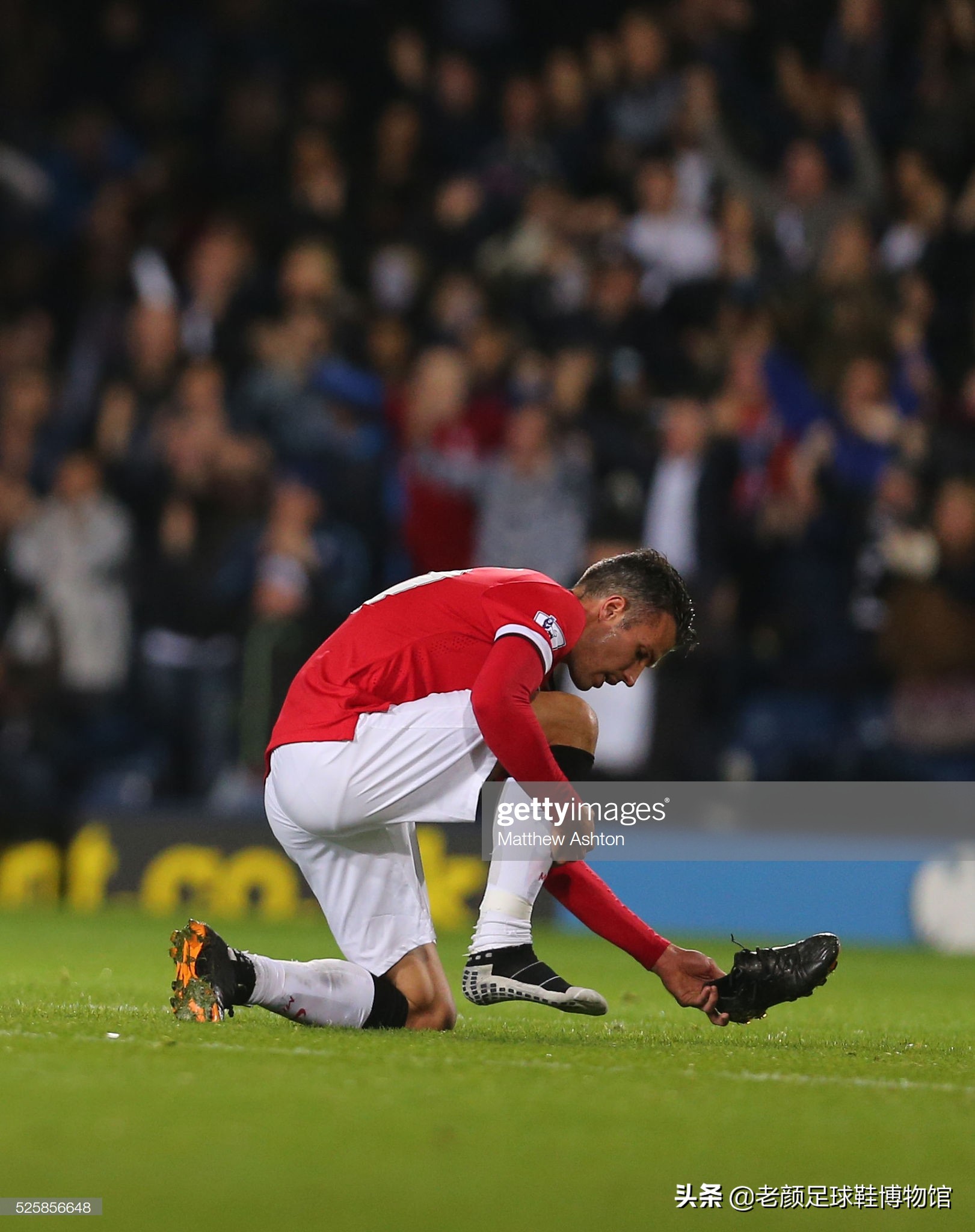 更多高水平 更多高水平